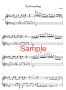 Try Everything Piano Music Sheet7